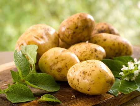 Семена на рассаду: Картофель